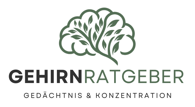 Gedächtnis stärken! "Ich vergaß ständig Namen, bis ich diese 3 Lebensmittel entdeckt habe"