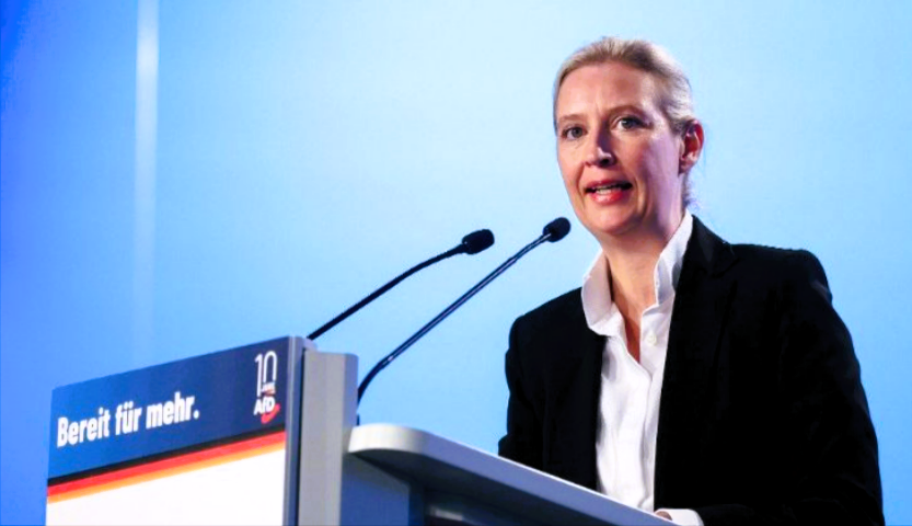 Umfrage-Hammer! Grüne und AfD im Sturzflug - Wähler mit knallharter Entscheidung!