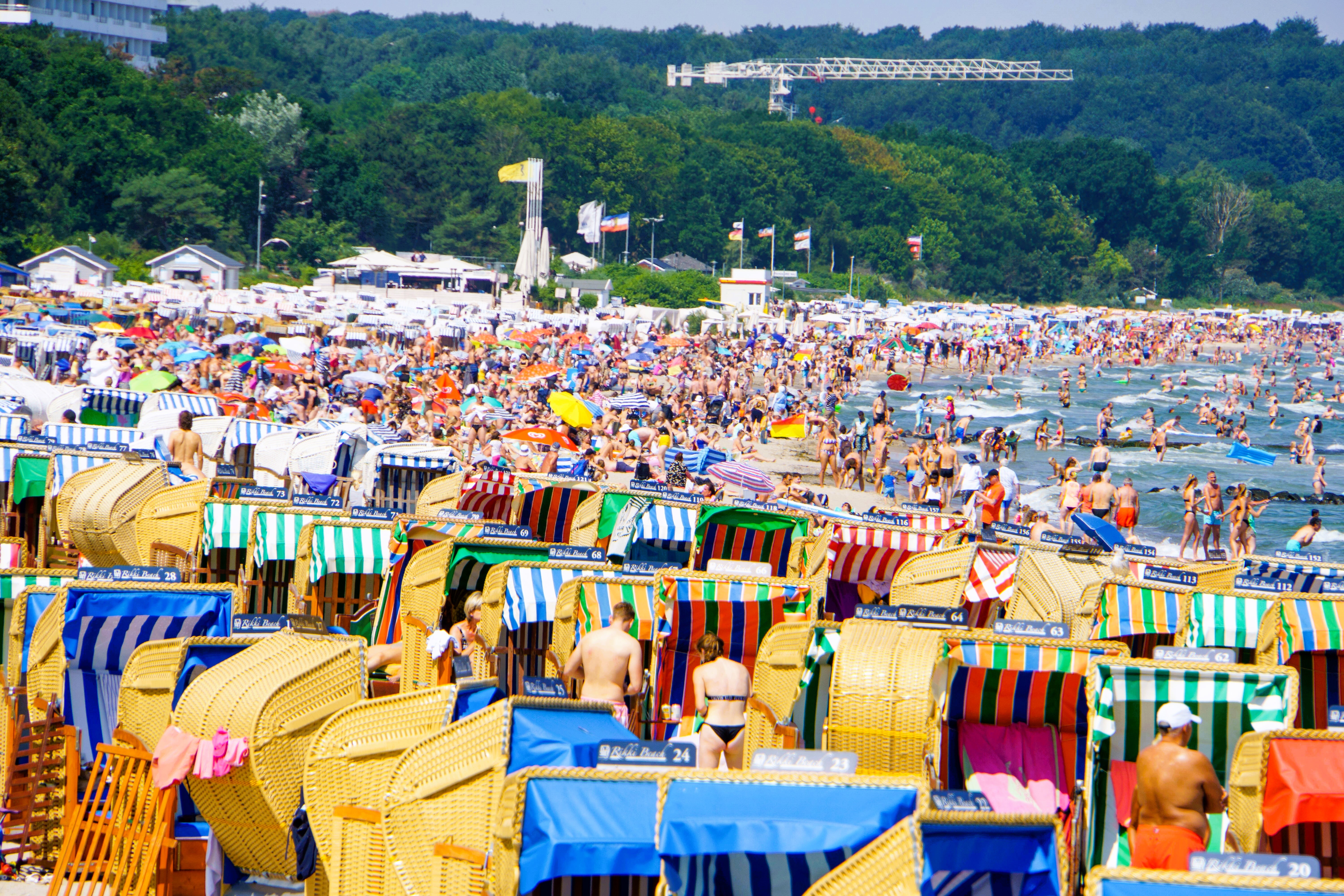 Killervieren in der Ostsee! Erste Todesfälle in Deutschland gemeldet - die Behörden warnen!
